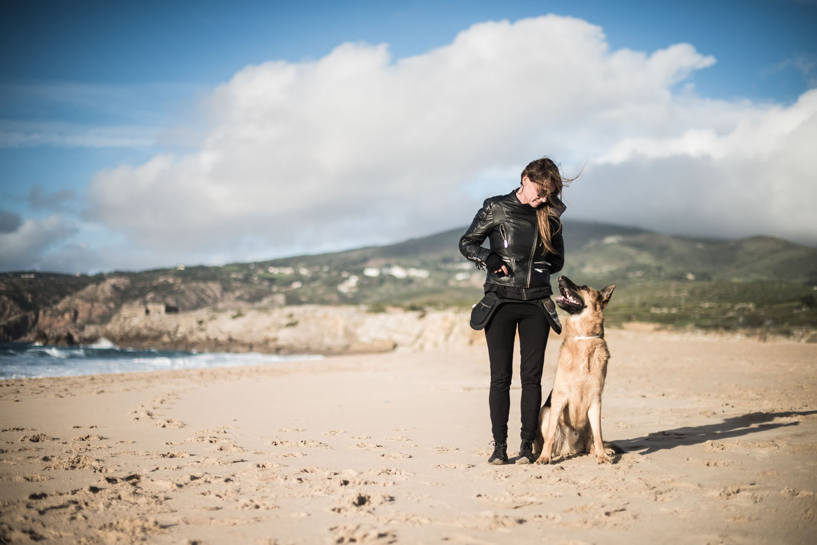 Treino de Cães