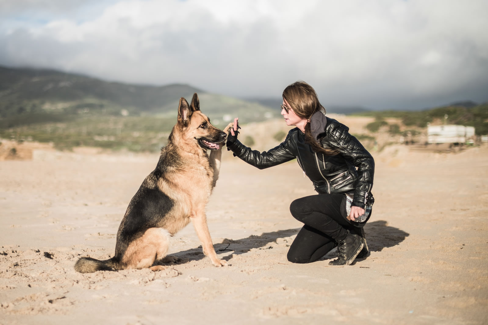 Treino de Cães