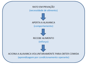Esquema Caixa de Skinner