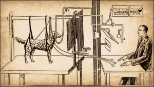 bestiario08_pavlov_experimento