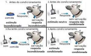pavlov